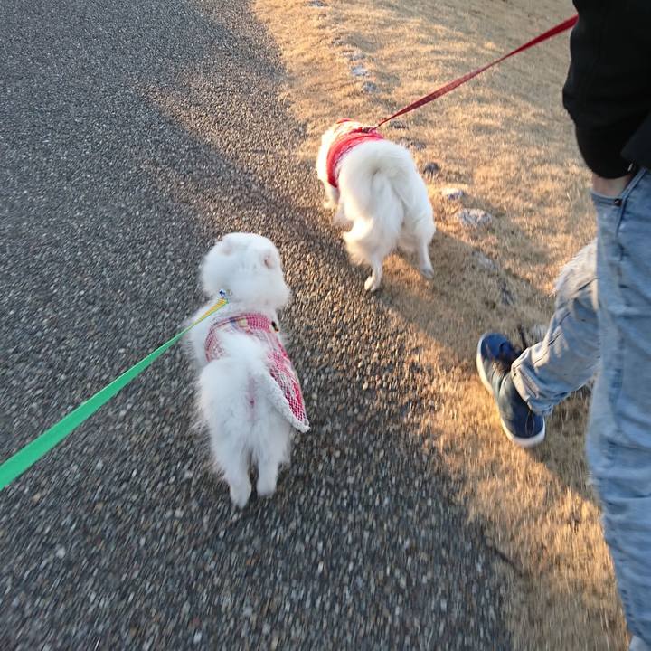 28e2fa42 93a3 4c4e a949 f47a4875393c 1548577328207