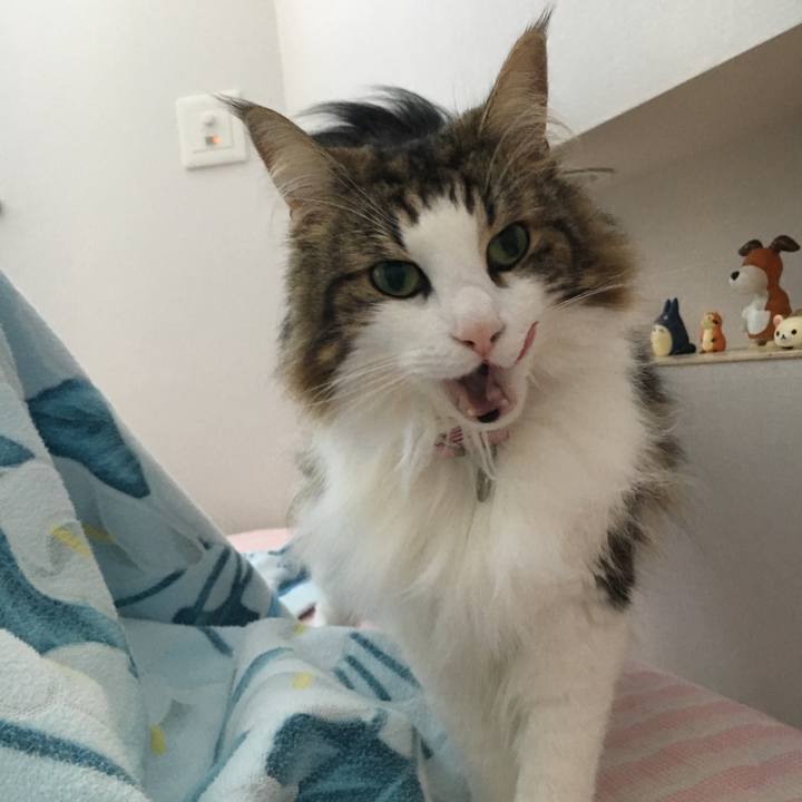 28e2fd77 bc8d 415f a4e4 1127d2d0927d 1530622452827