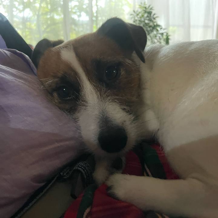 28e2ff89 d01a 4b00 be80 de57e2cdff73 1746945182747