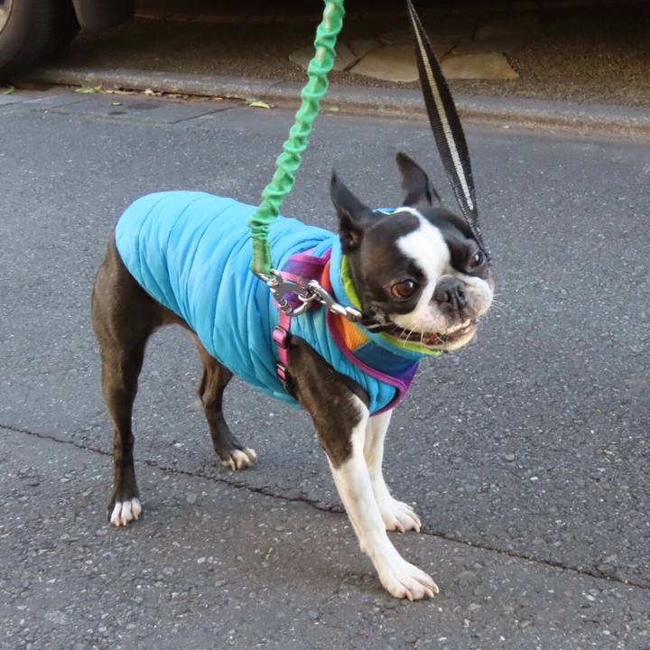 28e30d93 a253 45d8 b391 2651f473f765 1645788916216