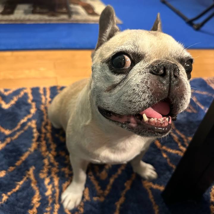 28e34e97 fc05 4399 8ebe a8244c9289a1 1757937803008