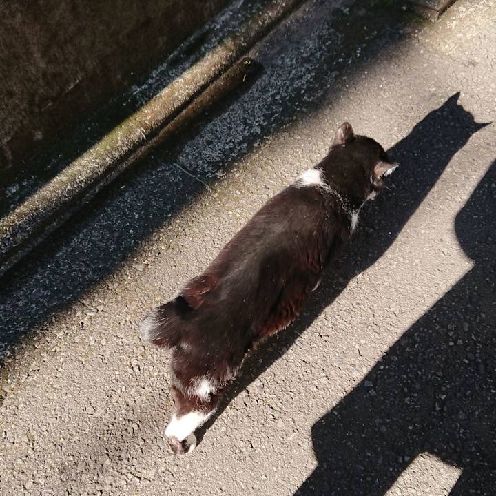 28e36bd7 2323 4997 a4d4 6b8bd3d38839 1555370177385