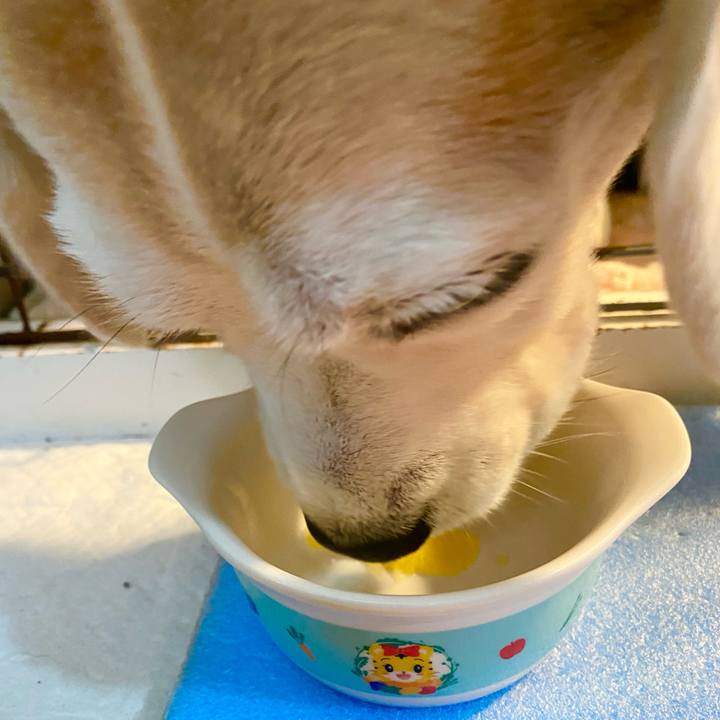 28e3df5b f64f 4e88 a1a5 2ef1882260c2 1650705411981