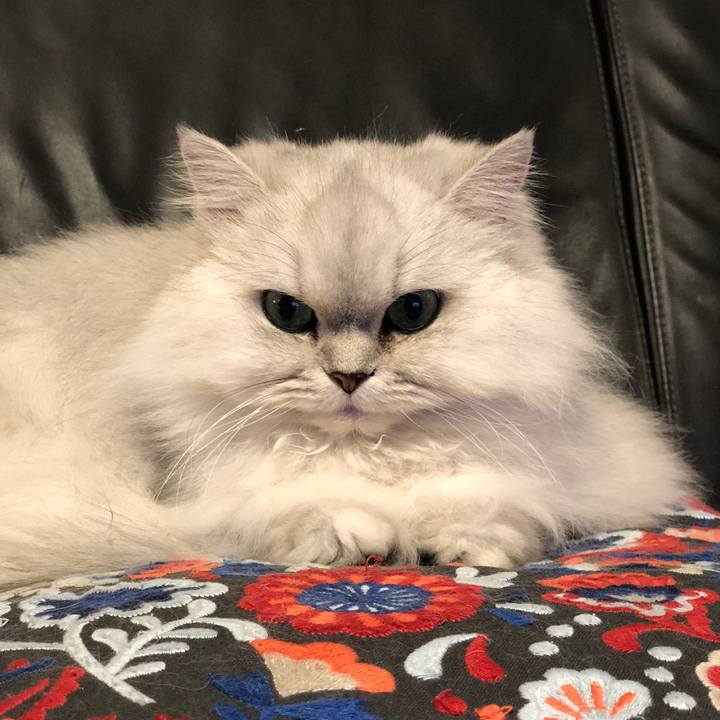 28e3e7ee 4045 4848 b584 9bfbd4e13e98 1610457723146