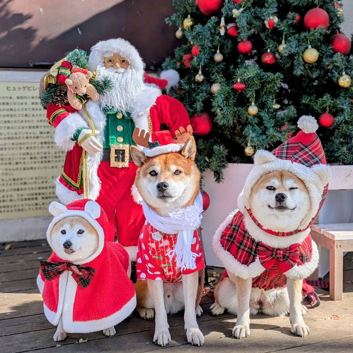 28e3f088 d944 49c4 9650 03782bcbf9c5 1764993902638