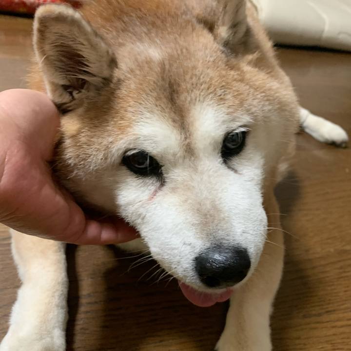 28e3ff73 c4a6 4377 aa36 1a1cd6db1932 1628072635812