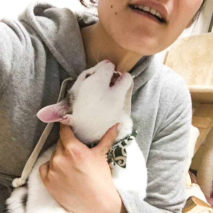 28e42c58 272d 48bc ac86 f3f451b77a53 1510147868020