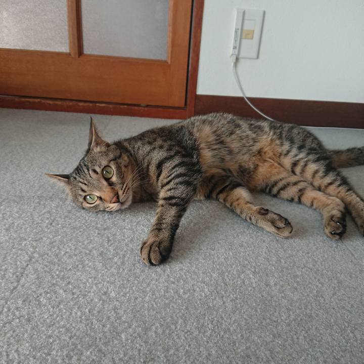 28e45d1b f7e6 41f3 b5f4 33adb09a4bbc 1526515166754