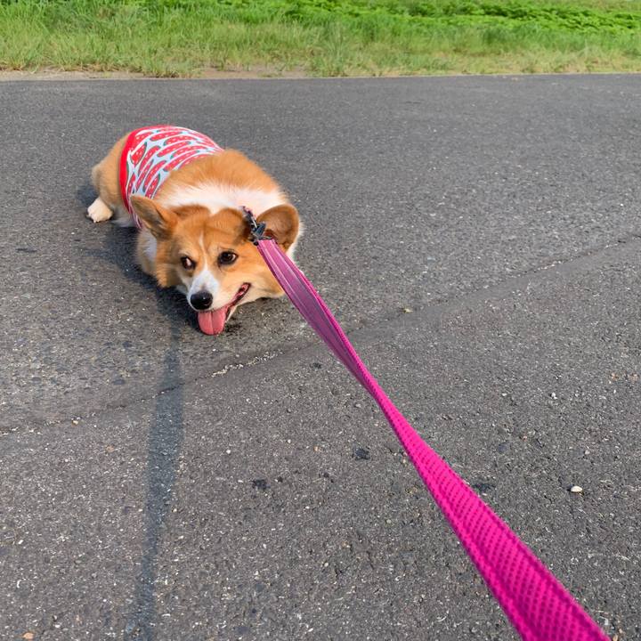 28e46c0e 2648 41cf 9d3b b864d71b9a0a 1564614247150