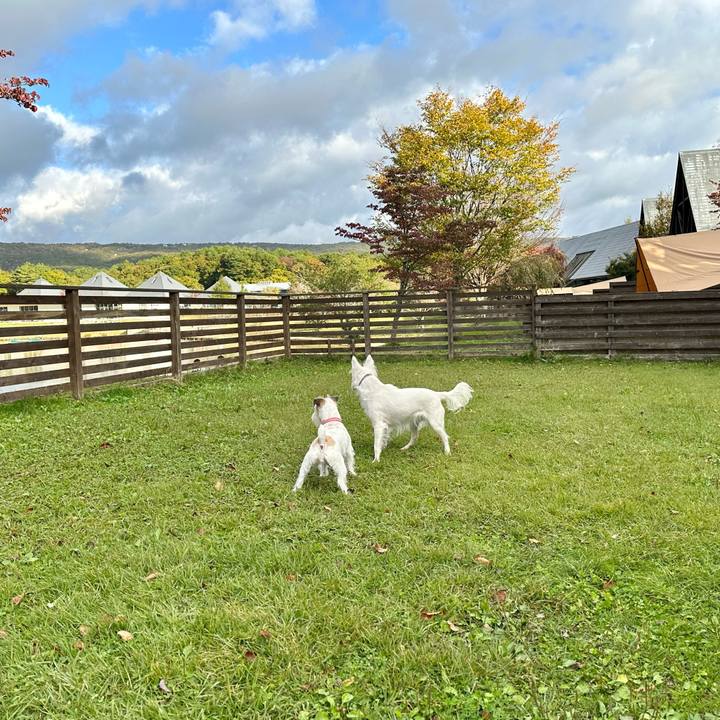 28e48a64 984c 4ecf 99cd 9b27ad90944a 1697550145556