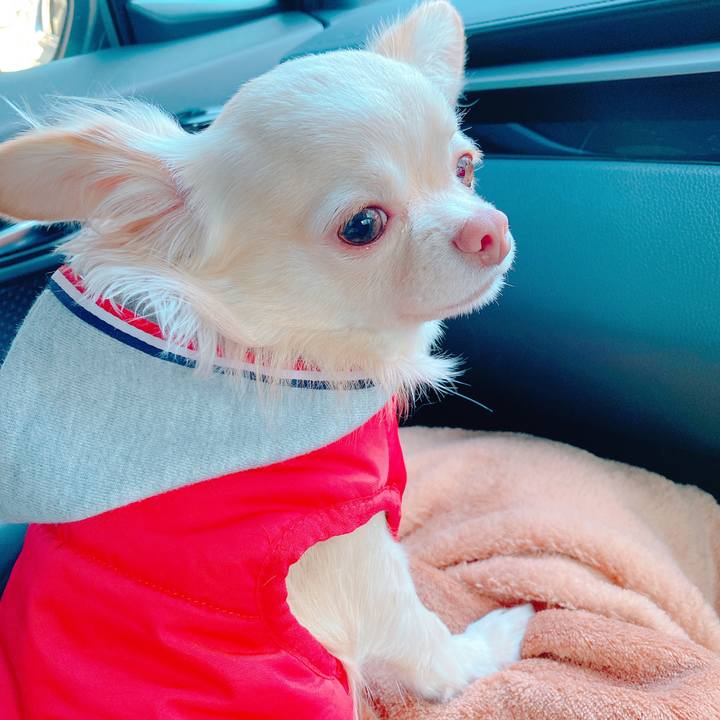 28e48cda 4ae3 49e0 a8cc 99bf82f8b2b7 1639532363242