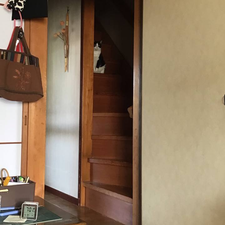 28e4af7a c2f4 41a6 abe6 b0704ff27765 1650319453259