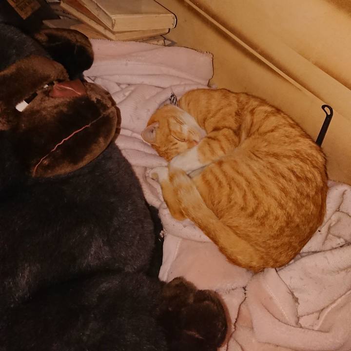 28e4e66a 4df2 4c04 ad1b aff3a99dd0b5 1573477127690