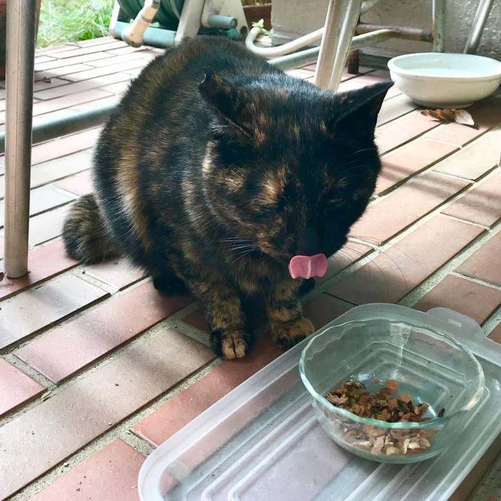 28e5393f ed3e 448d abde f6901bba4155 1510541892063