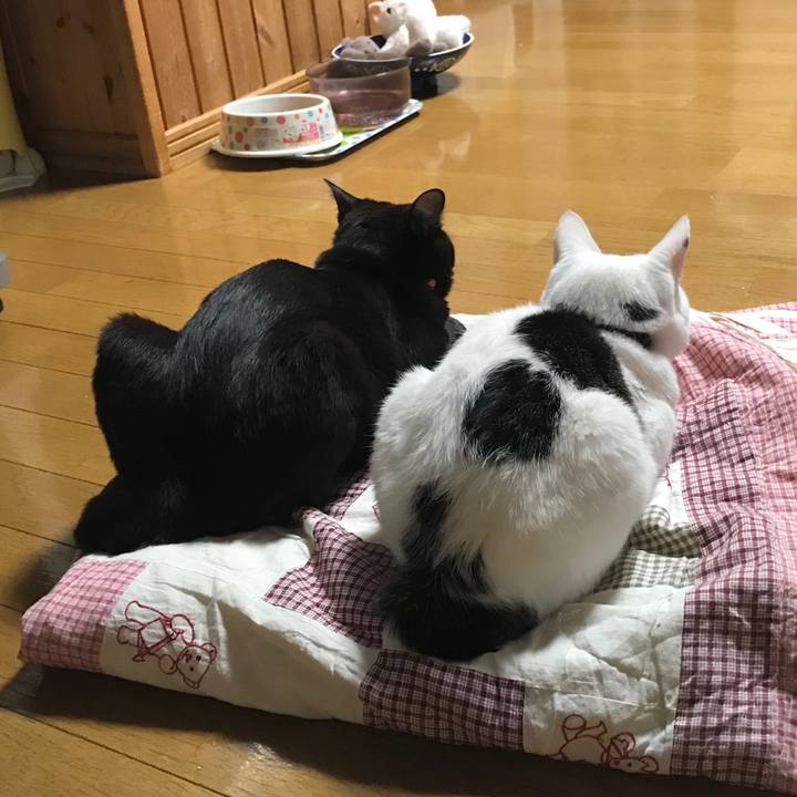 28e53f24 6493 458f b28a ba3221ec5d62 1589120514443