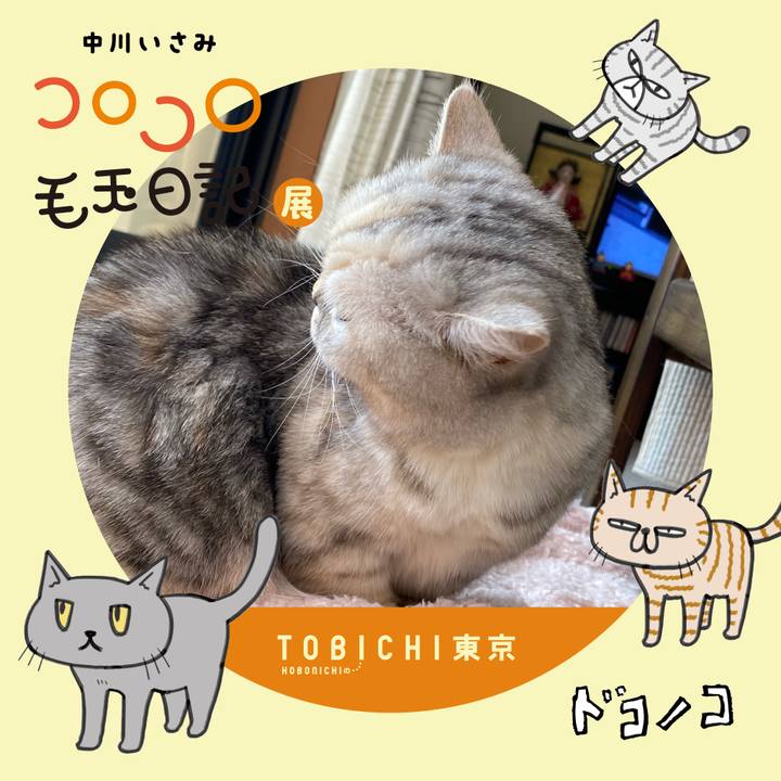 28e589ab 3b12 4504 9771 0eef86ed041d 1740368084667