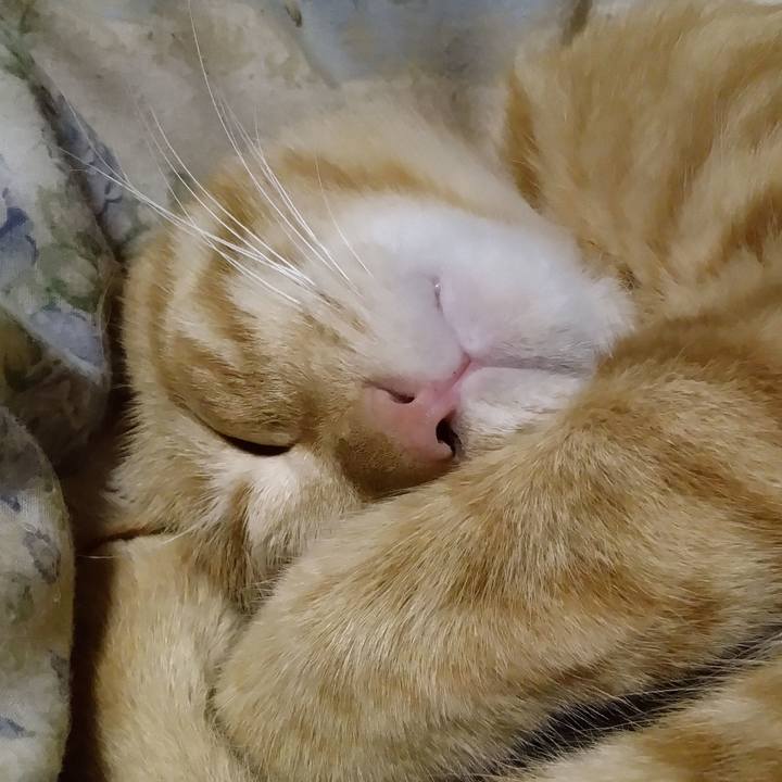 28e58ca8 addf 4f48 834f 6701b7b28265 1665320276119