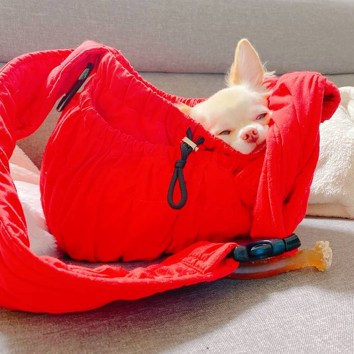 28e5ac4a 9b4f 4126 b889 6f6539cce8a9 1637898642561