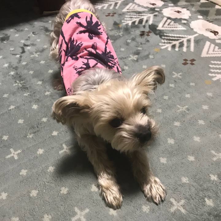 28e62de9 6087 4352 8694 485aa188c4b5 1575365444516