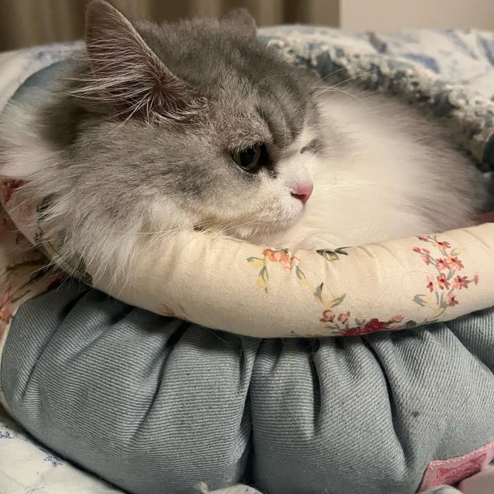 28e667ef 57e8 430a b3d8 153dc4a3c8a4 1734789392136