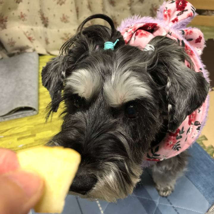 28e66816 6a9a 41f2 a5e5 468e21de01f0 1704714850167