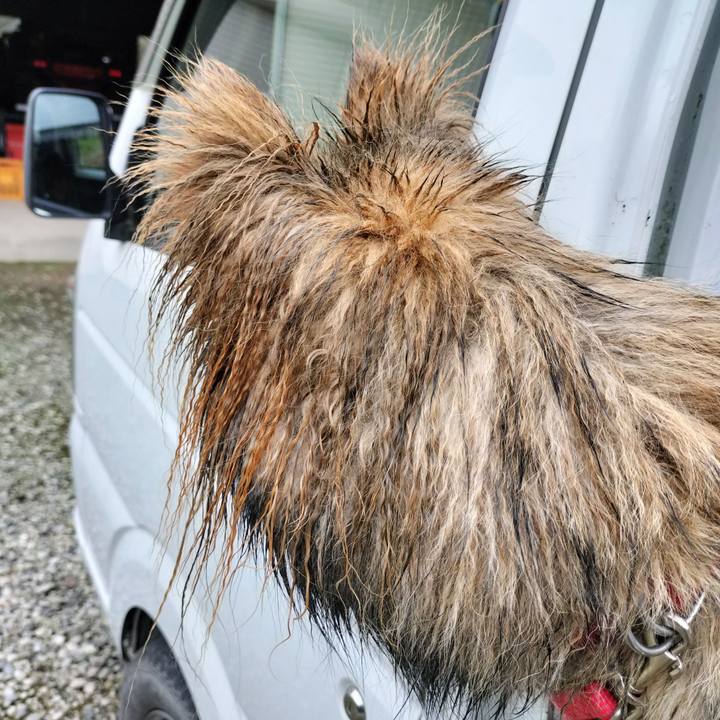 28e68cbf 31ee 4d25 8c48 60d705642db9 1686701828430