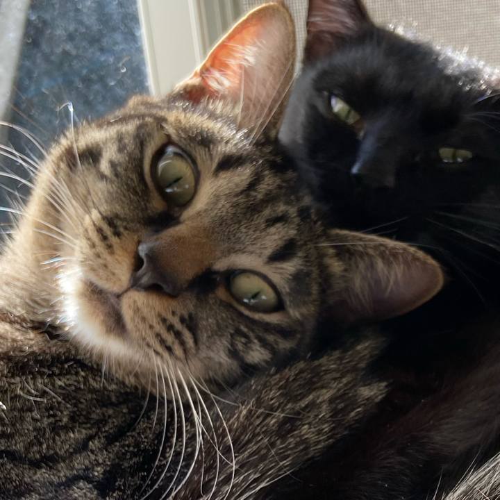 28e6b502 8ac4 4cfb b807 a71cc1f5824c 1645961692819