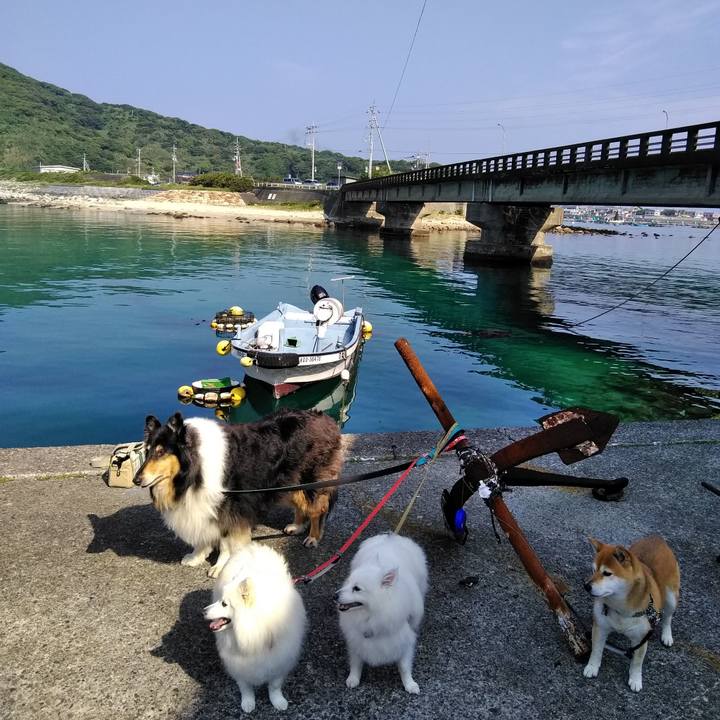 28e73957 c222 47b9 8408 f4985a546d33 1525243331993