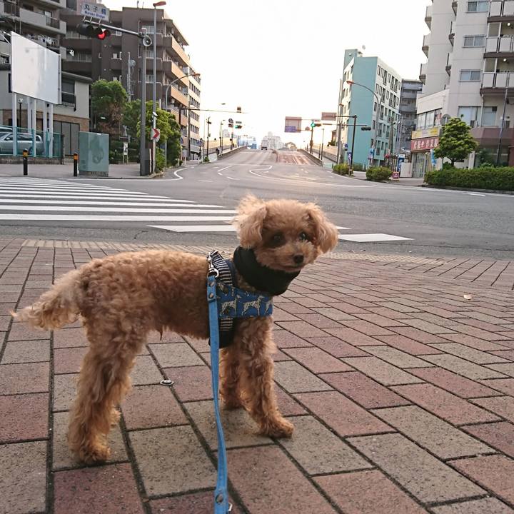 28e74069 1171 45cb 8429 37b0921321ee 1559766909820