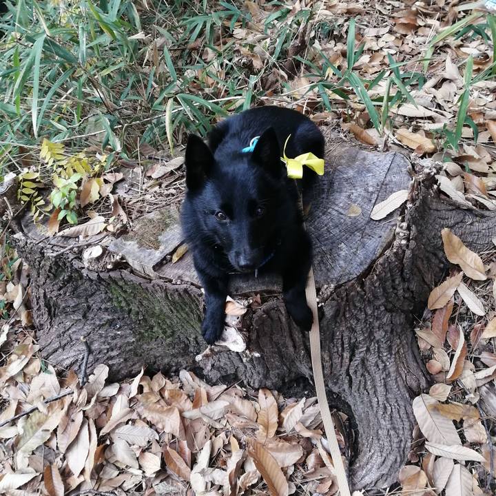 28e797f3 f5b4 43eb ac0d f837303e4b6a 1639267276914