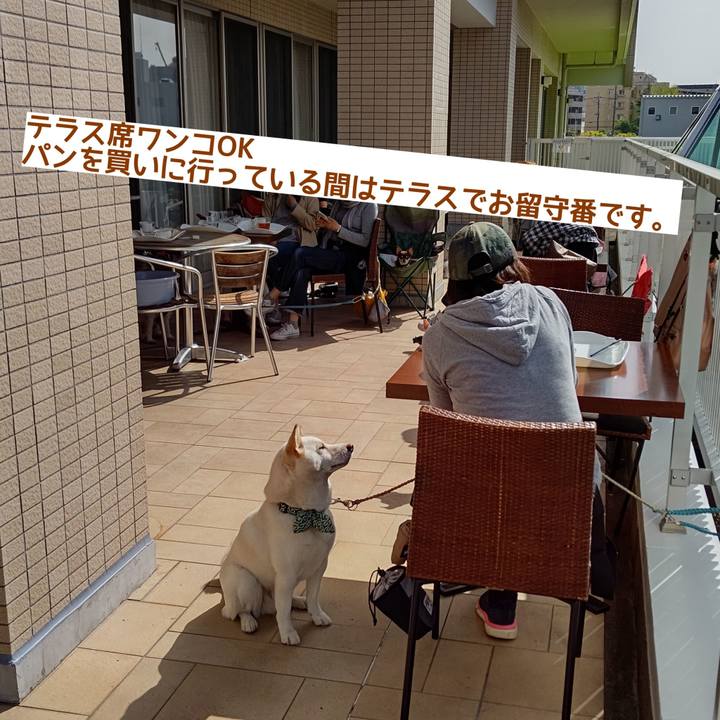 28e79af8 8a26 44b0 ad95 ef04c102ca97 1621841641326