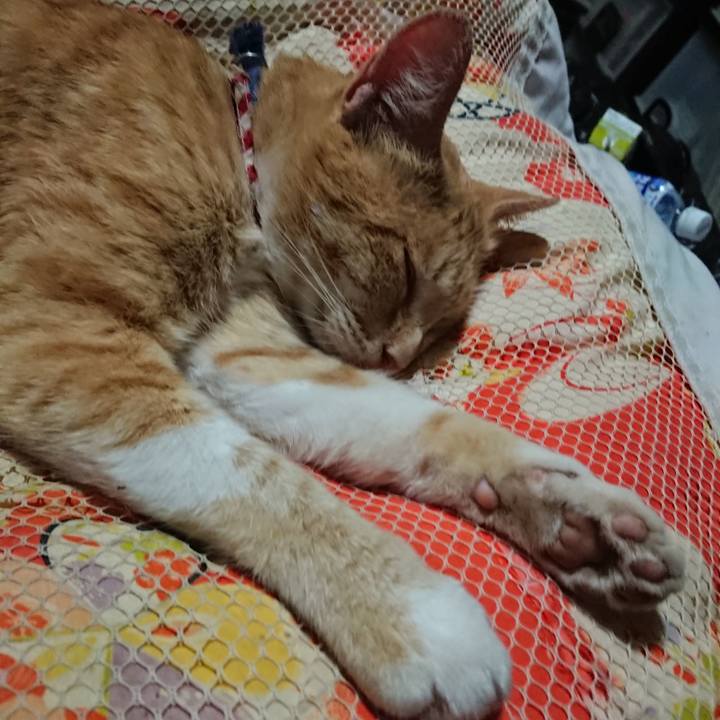 28e7b7ee 1023 4d73 a438 77b37d9a73e3 1560516099566