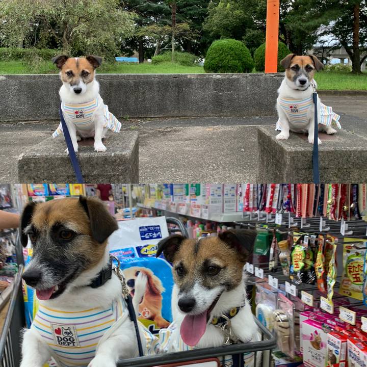 28e7ee31 8f4b 4b4a ab42 359059773261 1600770525398