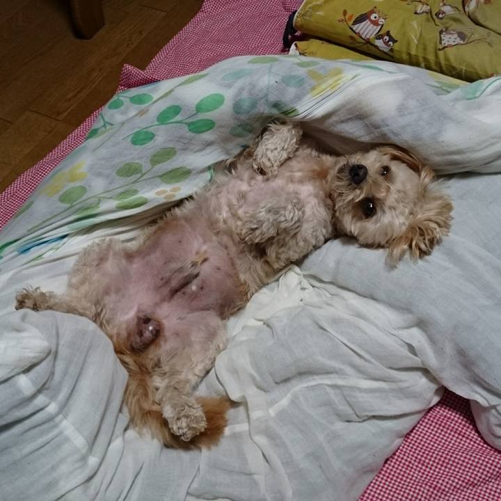 28e7f187 15c8 4129 b709 6f315f54dc1e 1603372131500