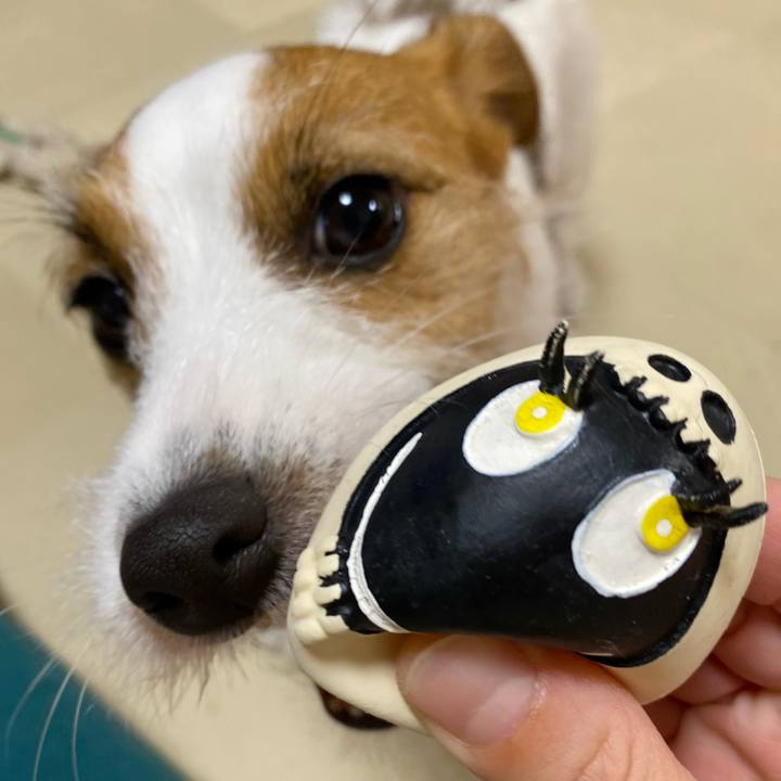 28e8637e 420e 4cbd 8afc 127ef038717f 1666393843183