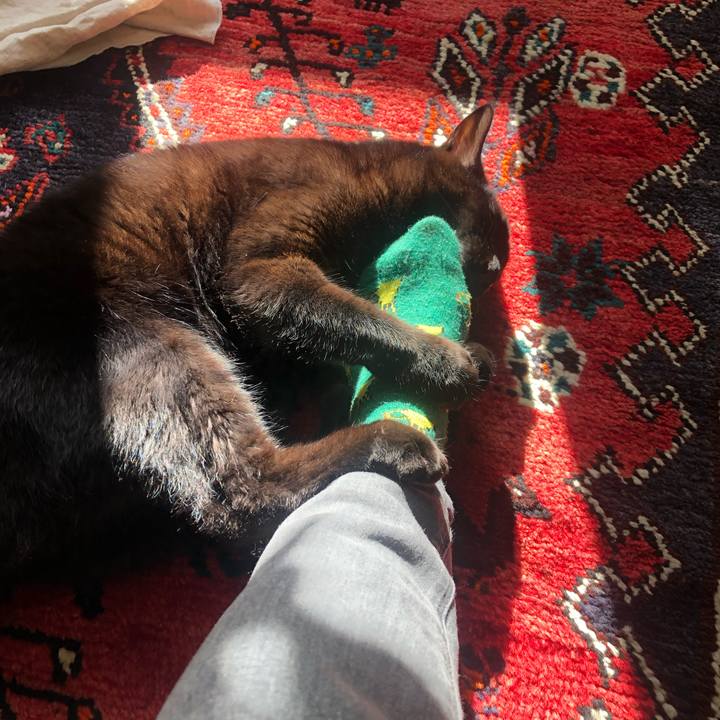 28e87891 e6cb 4a9a 84c6 75ad61a872b7 1577589305327