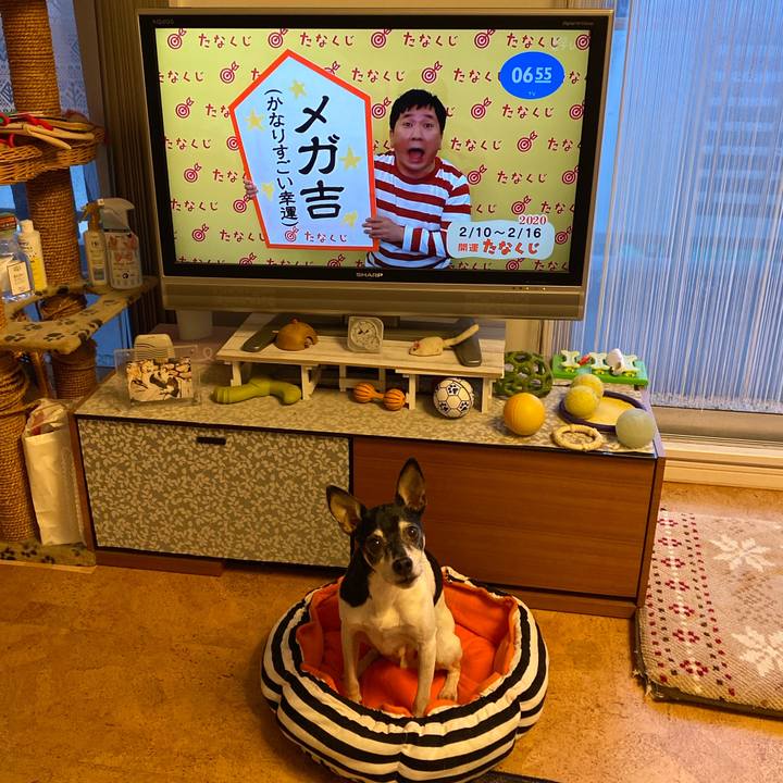 28e88806 d46d 4ba4 b6eb 4ae122f0d8f2 1581289423077