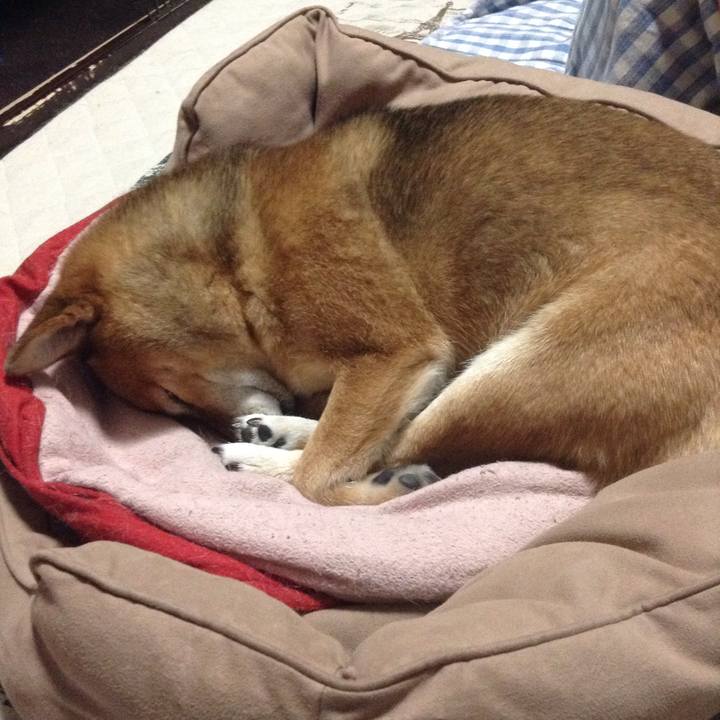 28e8b081 e3a2 420f 8827 bc05a4e10238 1508331406197