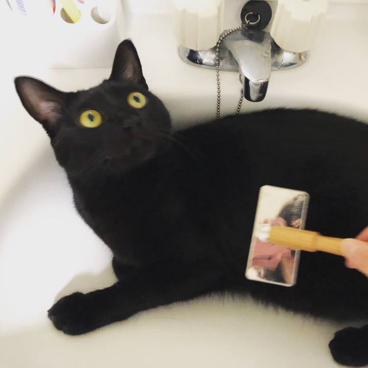 28e8dc82 104b 476f bdc8 50b36454824f 1540463329580