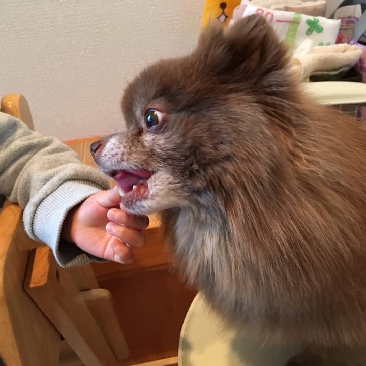 28e901e7 9120 46b2 801b 5b58725b1005 1515132575288