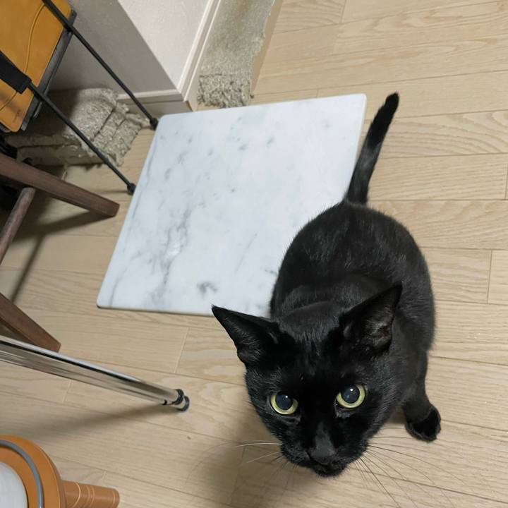 28e907e8 78d0 480f 9167 48edab433ec4 1697206954408