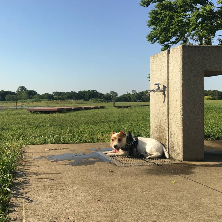 28e91479 cb29 40a8 bc8e 27885986e858 1558769084340