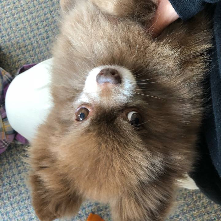 28e97a16 403a 4cb4 b770 894bb7ec172f 1543119569138