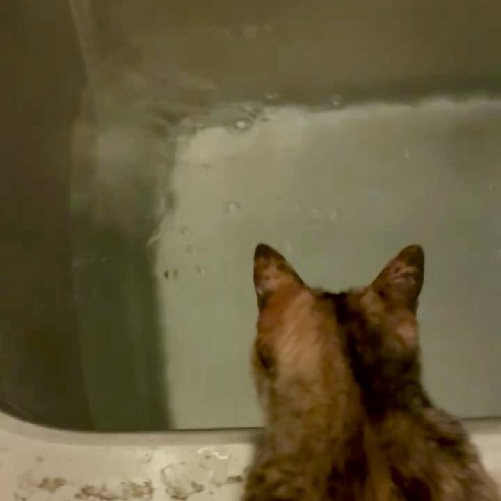 28e9e7b6 21a3 4943 9920 e038a5fecc0e 1747079001483