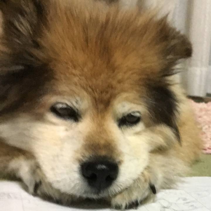 28ea1c0a 977b 4956 a38e 59b878d7456b 1626266737228