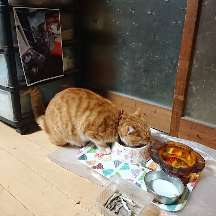 28ea237c f57d 4d70 a88d 701f30c972ca 1605210659777