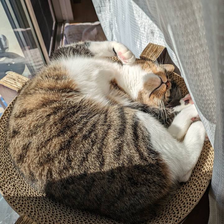 28ea246f 40ca 47b0 83f5 31592f01c4cd 1698630023495