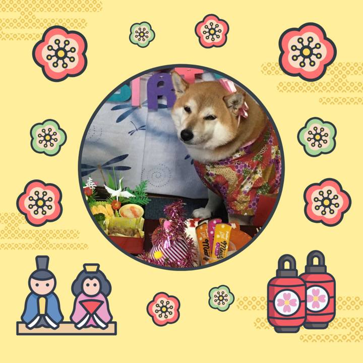 28ea3498 6a37 441d 8306 5c7201bc6cbf 1646302152987