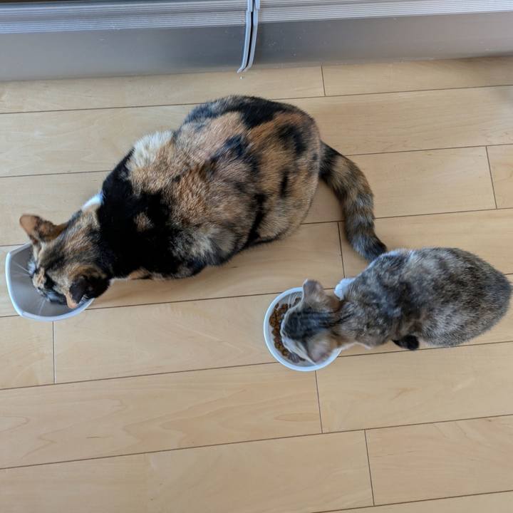 28ea779b 5762 4751 a092 2878c8d3ff9d 1731117468368