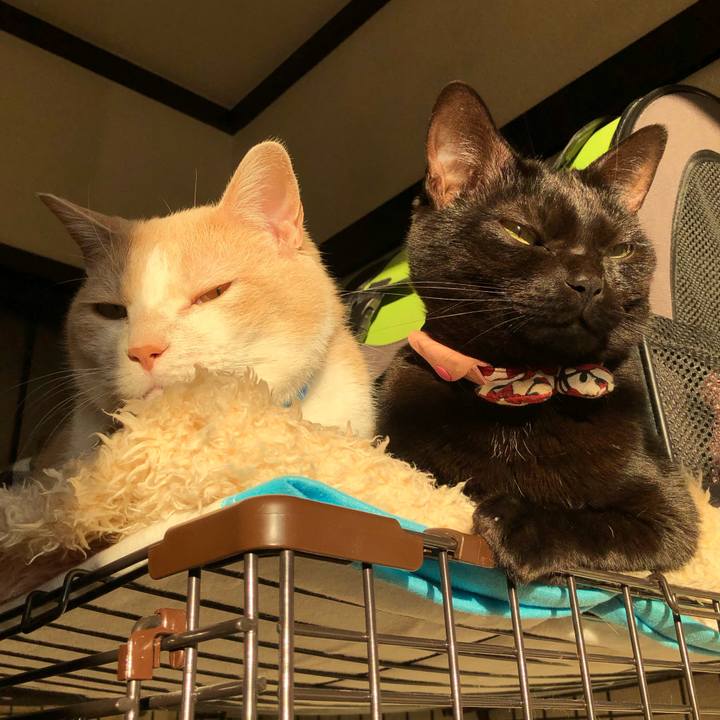 28ea889c 394d 44fa 8207 6c51b9b8c5cc 1577359752302